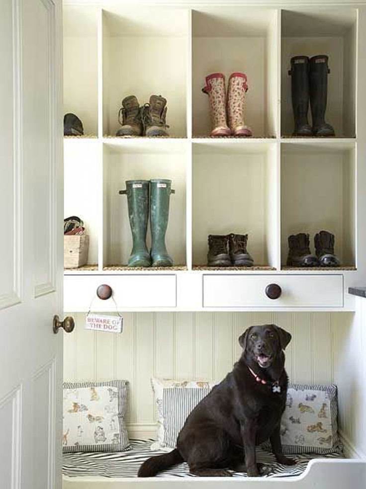 Top 10 Interesting Design Ideas for Pet Spaces