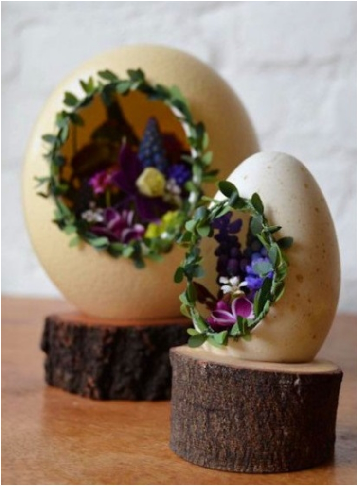 Egg shell mini garden