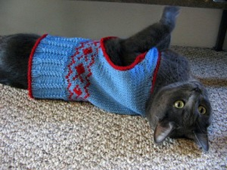 Haut 10 Free Knitting Patterns For Cats and Dogs Top Inspired