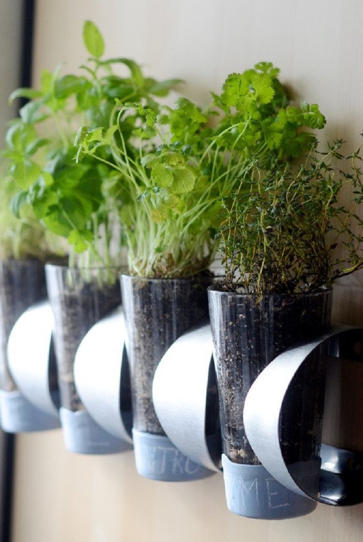 TOP 10 Inspiring LowBudget Ideas for Herb Containers
