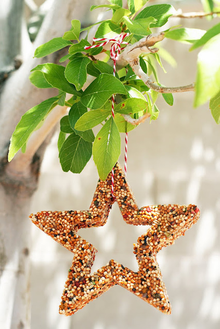 TOP 10 DIY Bird Feeders To Make With Kids Top Inspired