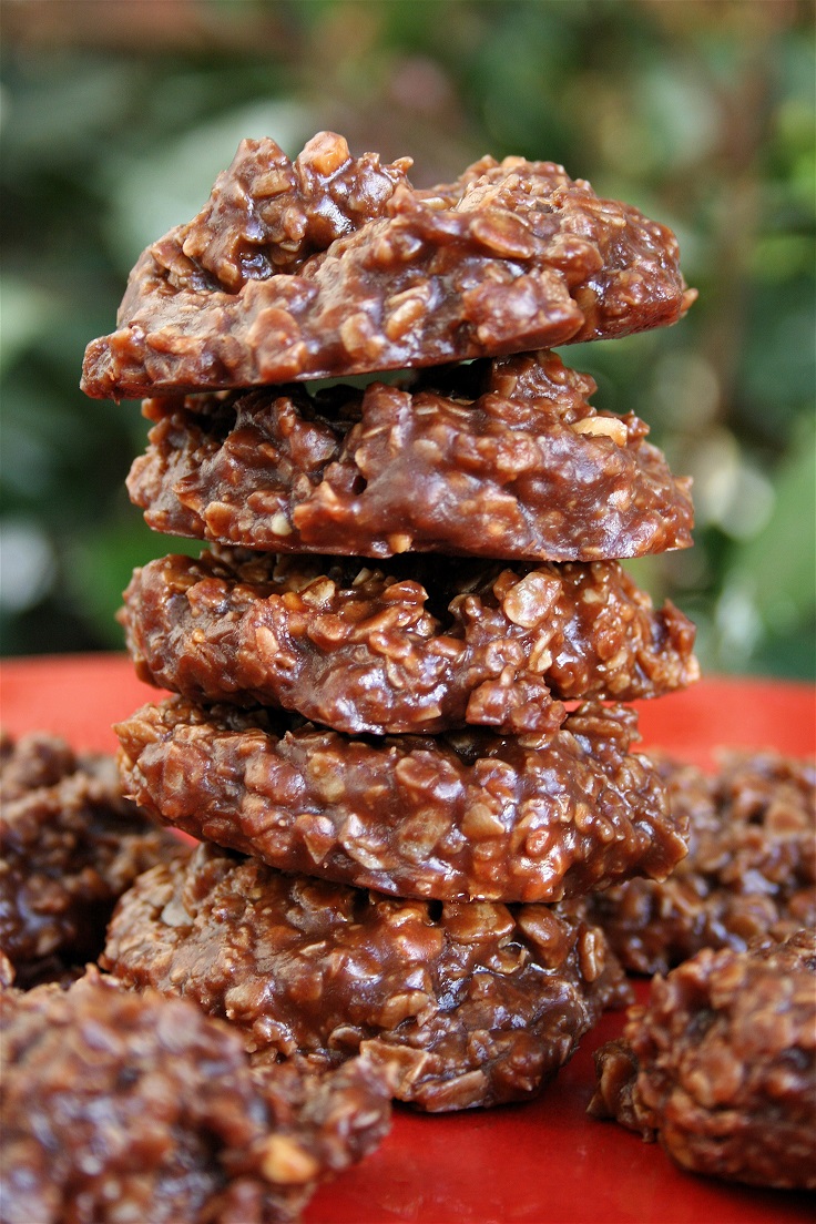 Top 10 Easy No Bake Cookies You Must Try  Top Inspired