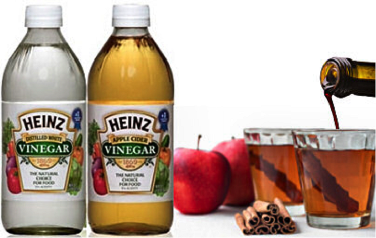 Can You Use Heinz Apple Cider Vinegar For Weight Loss