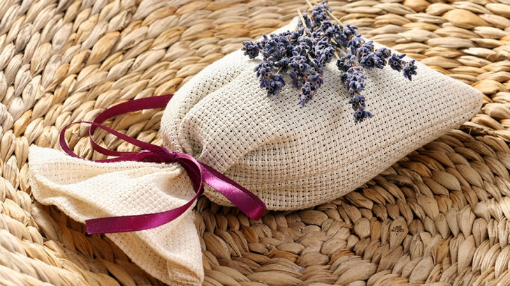 Top 10 Reasons Why To Grow Amazing Lavender In Your Garden