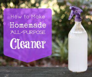 Top 10 DIY Cleaning Tips and Products