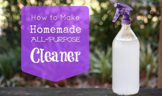 Top 10 DIY Cleaning Tips and Products | Top Inspired