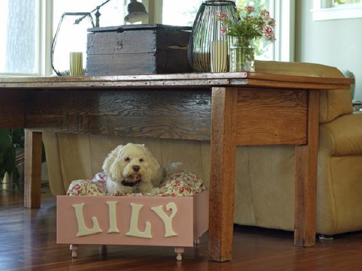 Top 10 DIY Pet Projects | Top Inspired