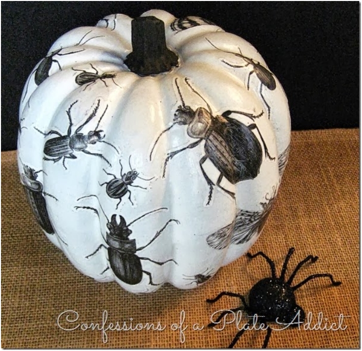 Decoupage-Insect-Pumpkin