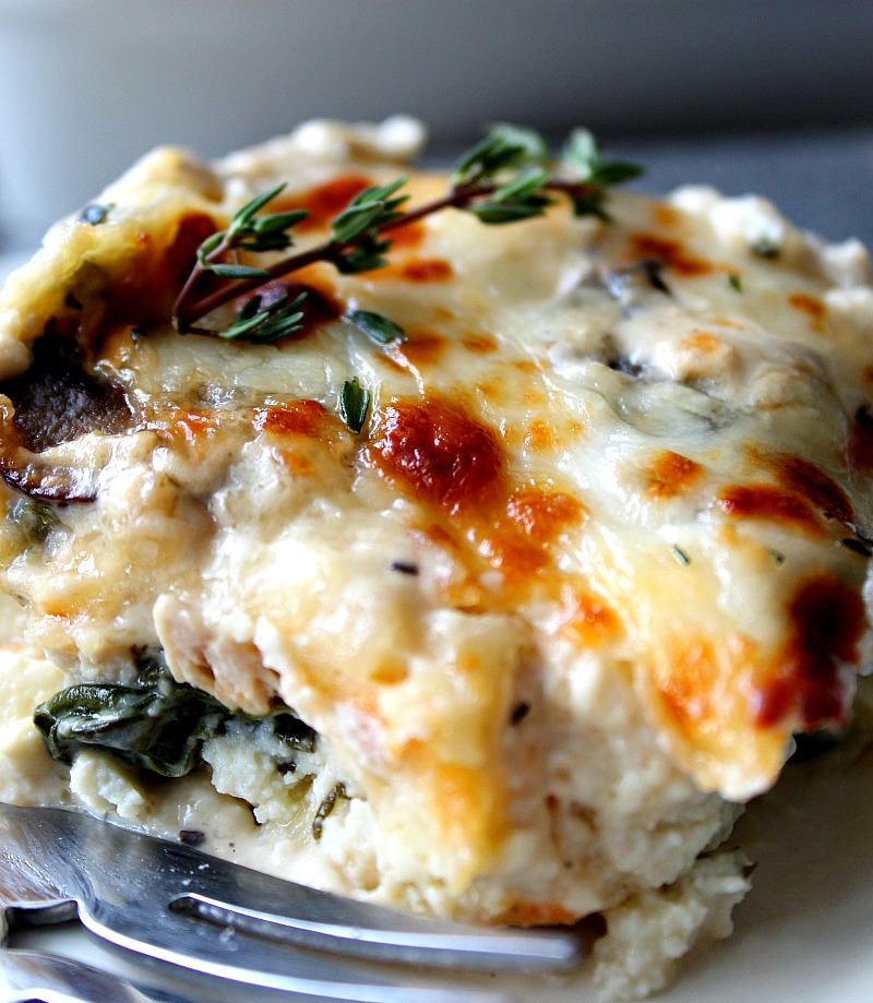 alfredo-lasagna-5 alfredo-lasagna-5