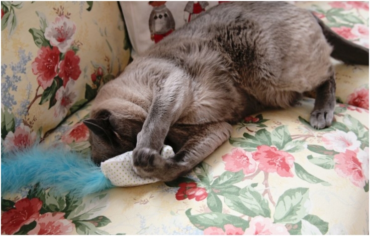 12-Days-of-Handmade-Gifts-DIY-Pet-Toys 12-Days-of-Handmade-Gifts-DIY-Pet-Toys