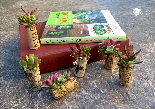 1DIY-Succulent-cork-planters-finished-staged-2-TSE