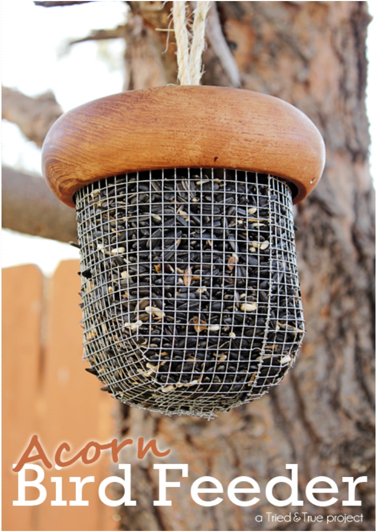 ACORN-BIRD-FEEDER-TUTORIAL ACORN-BIRD-FEEDER-TUTORIAL