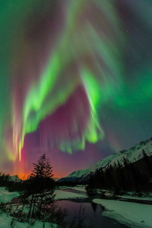 Aurora-in-Alaska