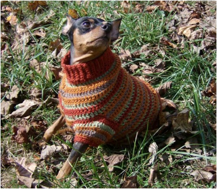 Autumn-Stripes-Crochet-Min-Pin-Sweater