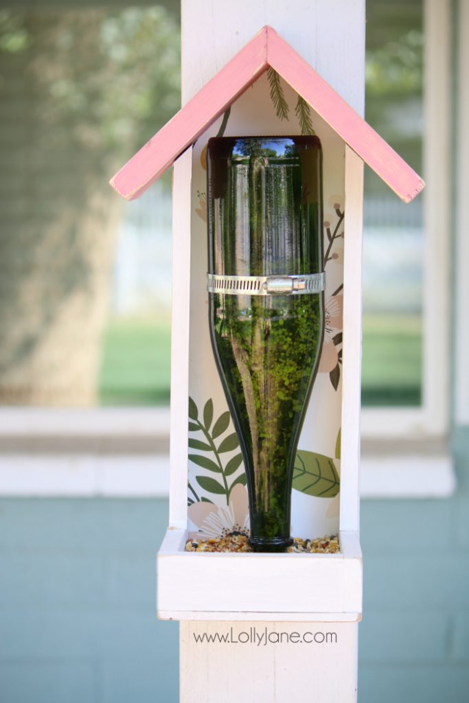 Bird-feeder