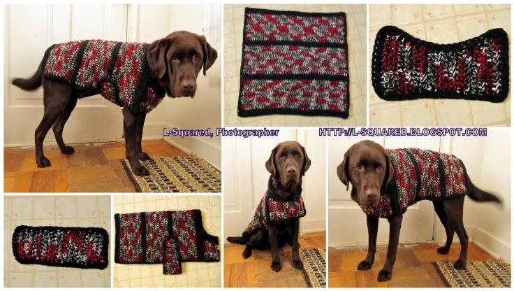 Crochet-Project-with-Pattern-Dog-Sweater-jacket