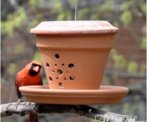 Top 10 Eco-Friendly DIY Bird Feeders