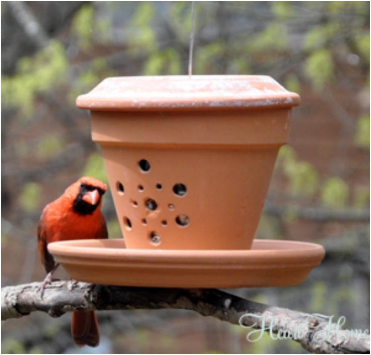 Top 10 Eco-Friendly DIY Bird Feeders | Top Inspired