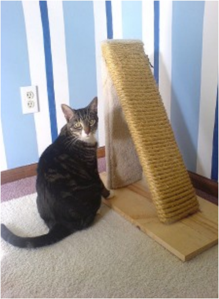 Top 10 DIY Cat Scratching Posts and Pads - Top Inspired