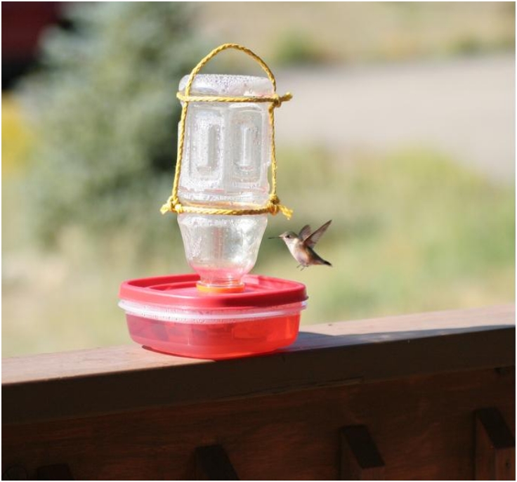 DIY-Hummingbird-Feeder DIY-Hummingbird-Feeder