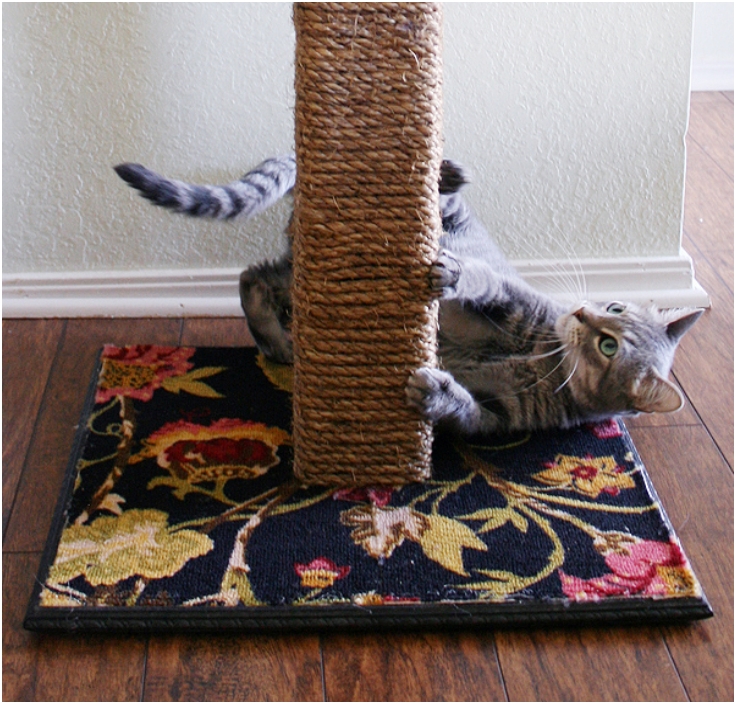 Diy-Cat-Scratching-Post Diy-Cat-Scratching-Post