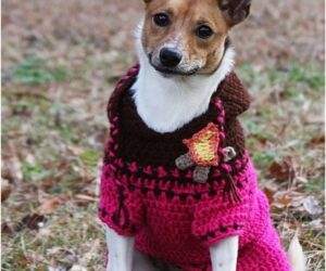 Top 10 Crochet Dog Sweaters (Free Crochet Patterns)