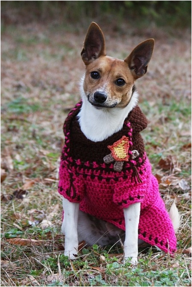 Top 10 Cute DIY Dog Sweaters (With Free Crochet Patterns) | Top Inspired