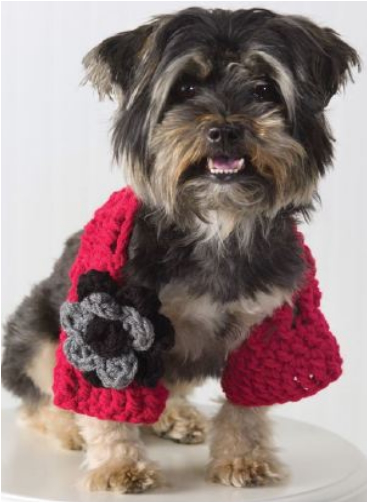 Dog-Shrug Dog-Shrug