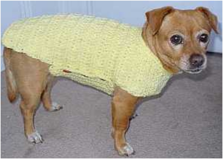 Dog-Sweater-Crochet-Pattern Dog-Sweater-Crochet-Pattern