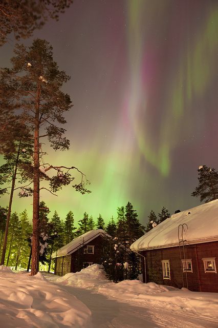 Finland-Aurora-lights-