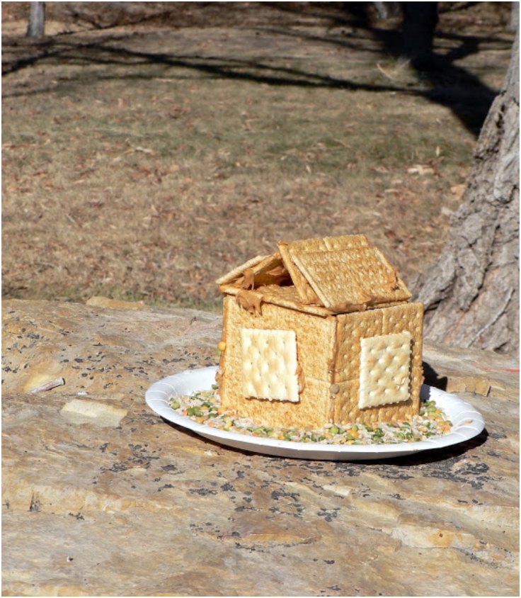 How-to-Homemade-Bird-Feeder How-to-Homemade-Bird-Feeder