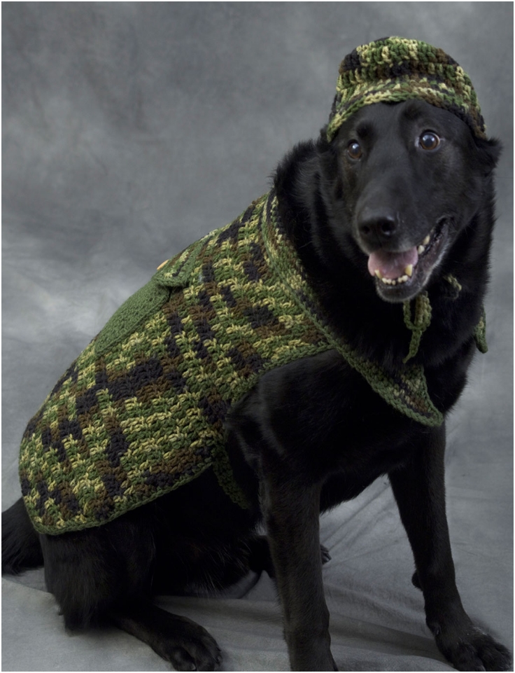 Hunter-Dog-Crochet-Pattern