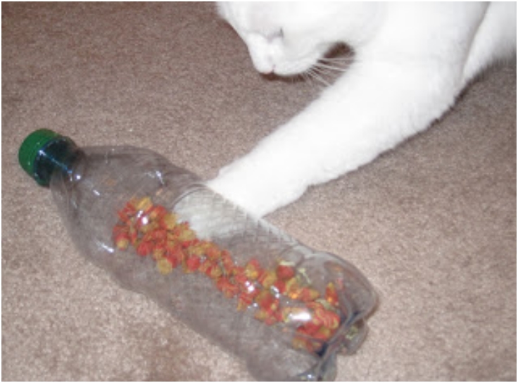 New-Homemade-Cat-Toy New-Homemade-Cat-Toy