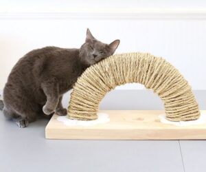 Top 10 DIY Cat Scratching Posts and Pads