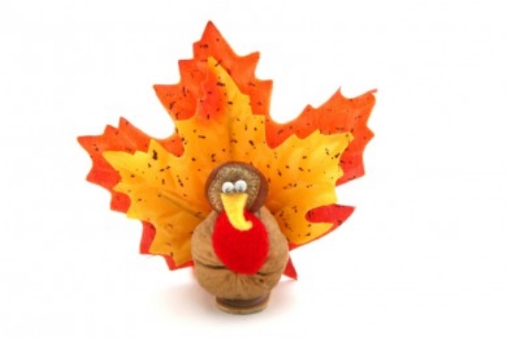 Walnut-Turkey-Craft