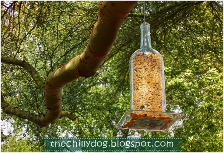 Wine-Bottle-Bird-Feeder