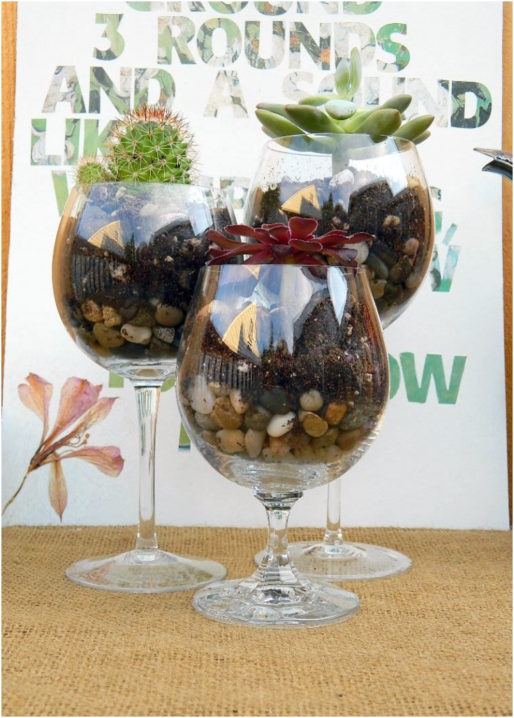 Wine-Glass-Terrariums