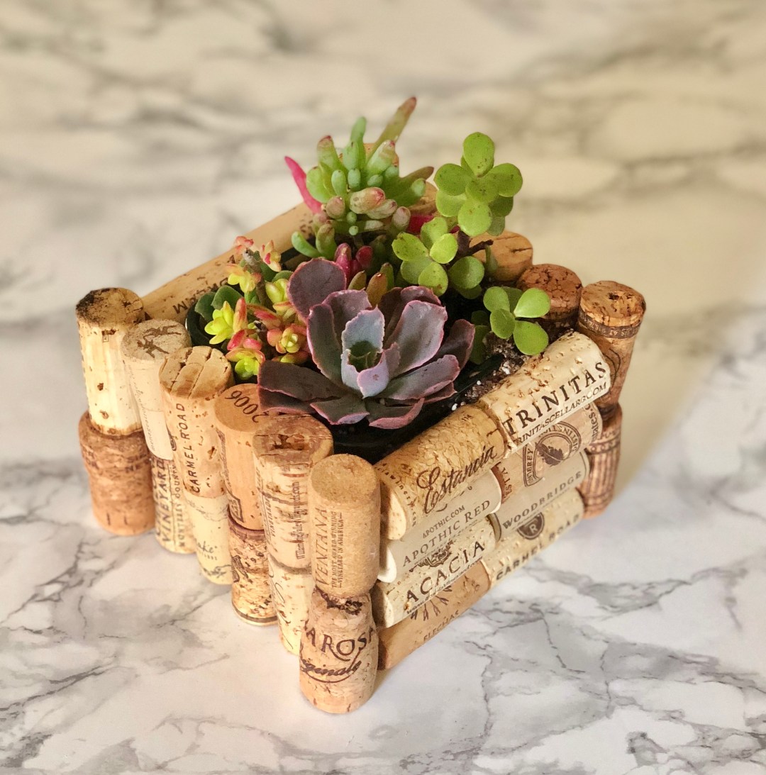 diycorkplanter