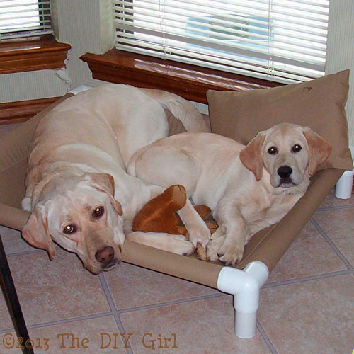 dog-cot-tut2