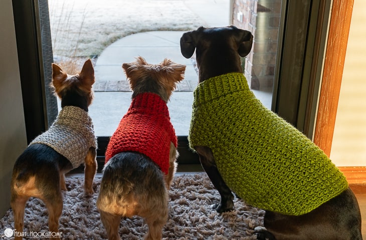dog-sweater-crochet-pattern-22 dog-sweater-crochet-pattern-22