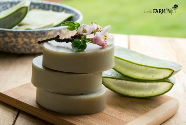 fresh-aloe-vera-soap fresh-aloe-vera-soap