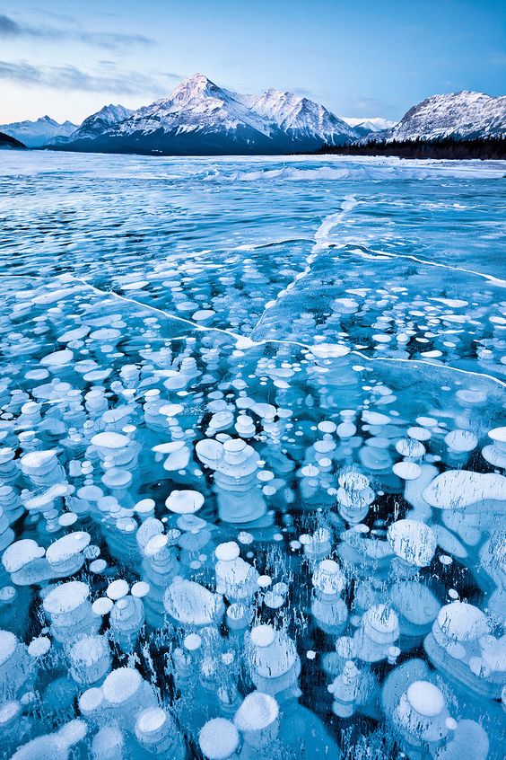 frozen-air-bubbles-