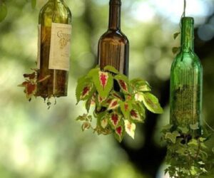 Top 10 Ways To Reuse Glass Bottles