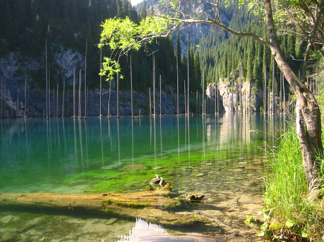 kaindy-lake-kazakhstan