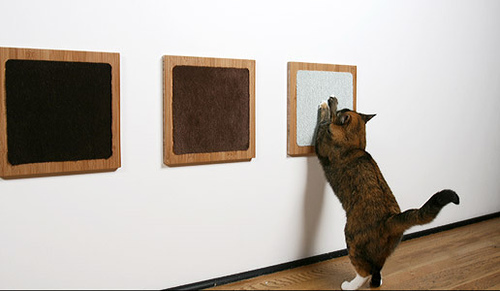 moderncat3 moderncat3