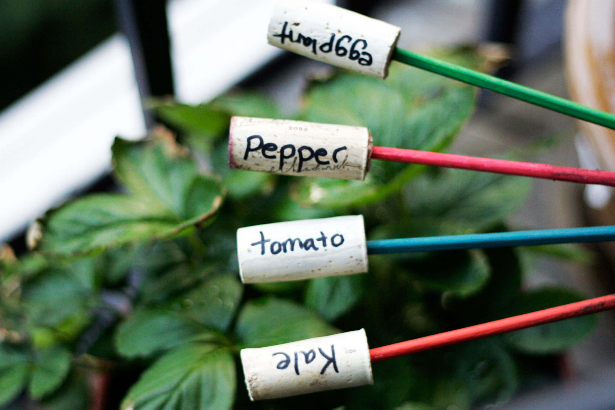plant-markers-scaled plant-markers-scaled