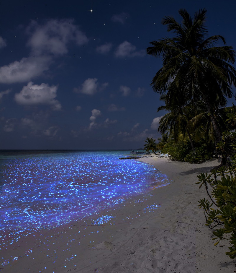 shimmering-beaches-maldives-