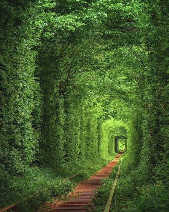 tunel-of-love-ukraine-