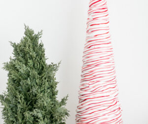 Top 10 Tasty DIY Decorations With Real Candy Canes