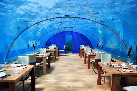 Ithaa-Undersea-Restaurant